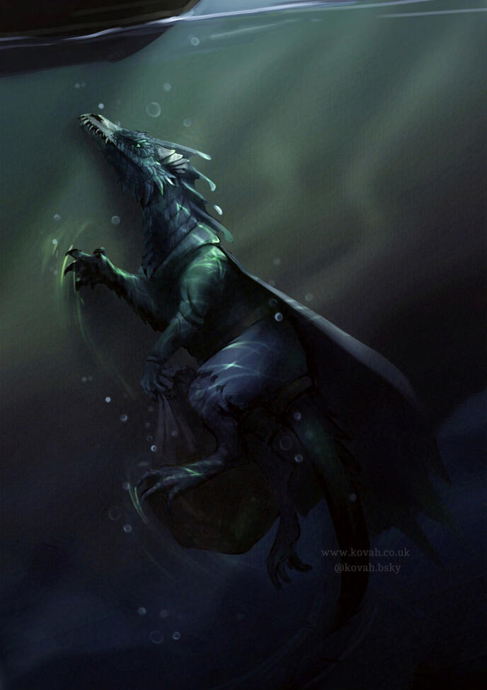 A black dragonborn takes a swim in Lake Zarovich to retrieve a sack that was just thrown overboard.